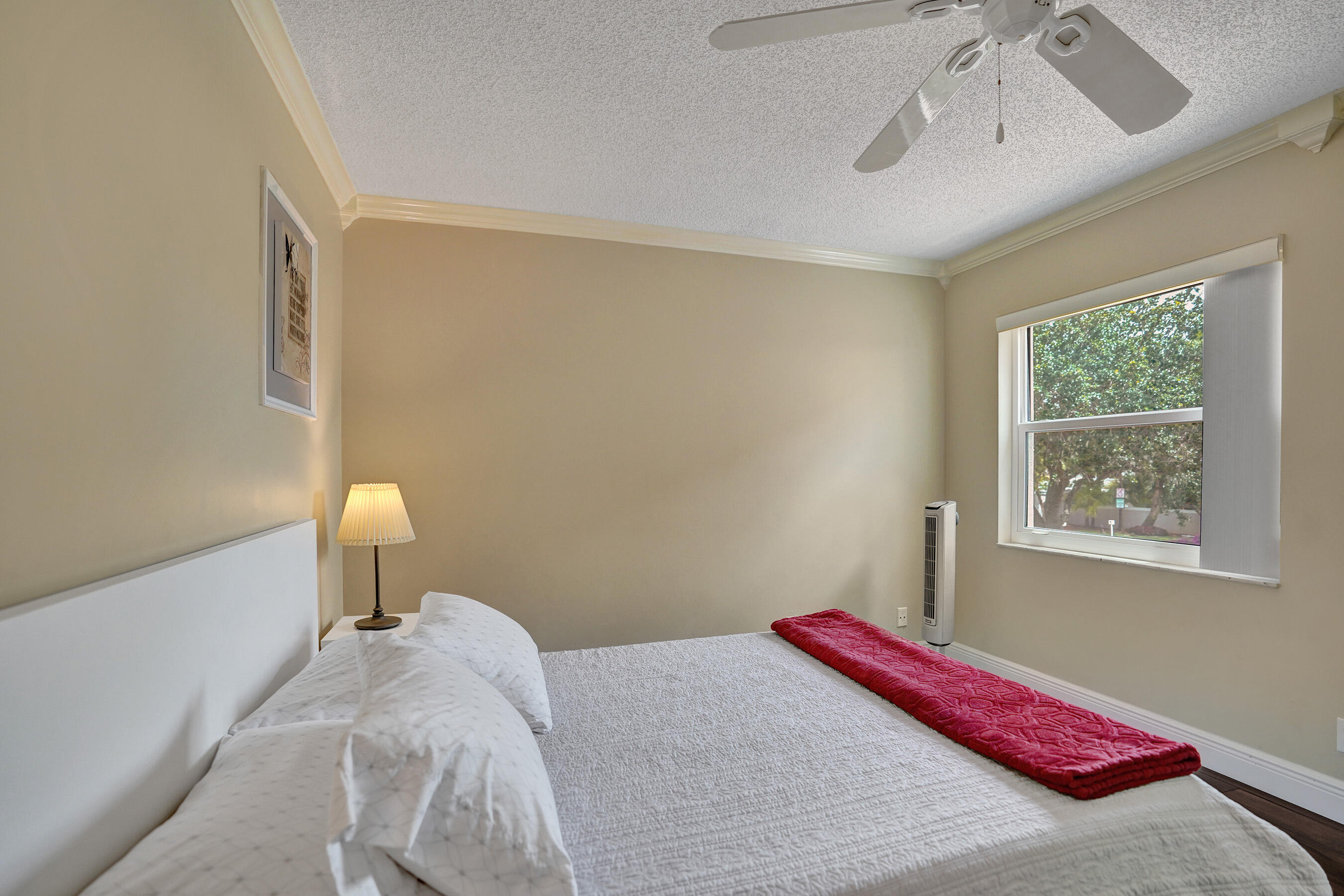 10474 Mateo Court 10474