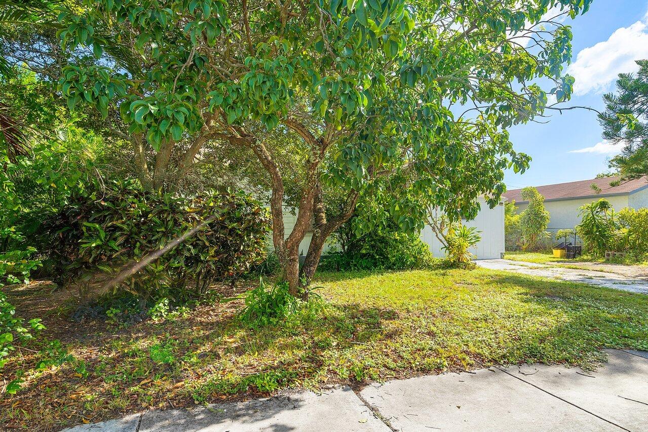 229 SW 4th Avenue
