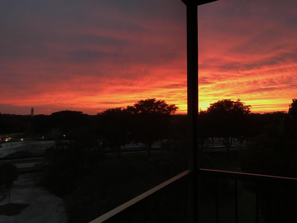 5951 Wellesley Park Drive 606