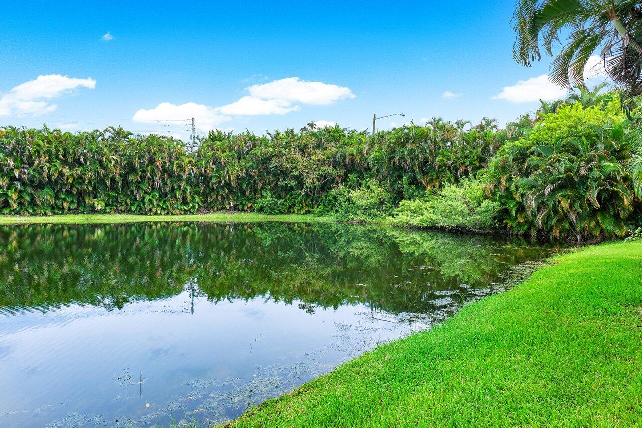 9031 Long Lake Palm Drive