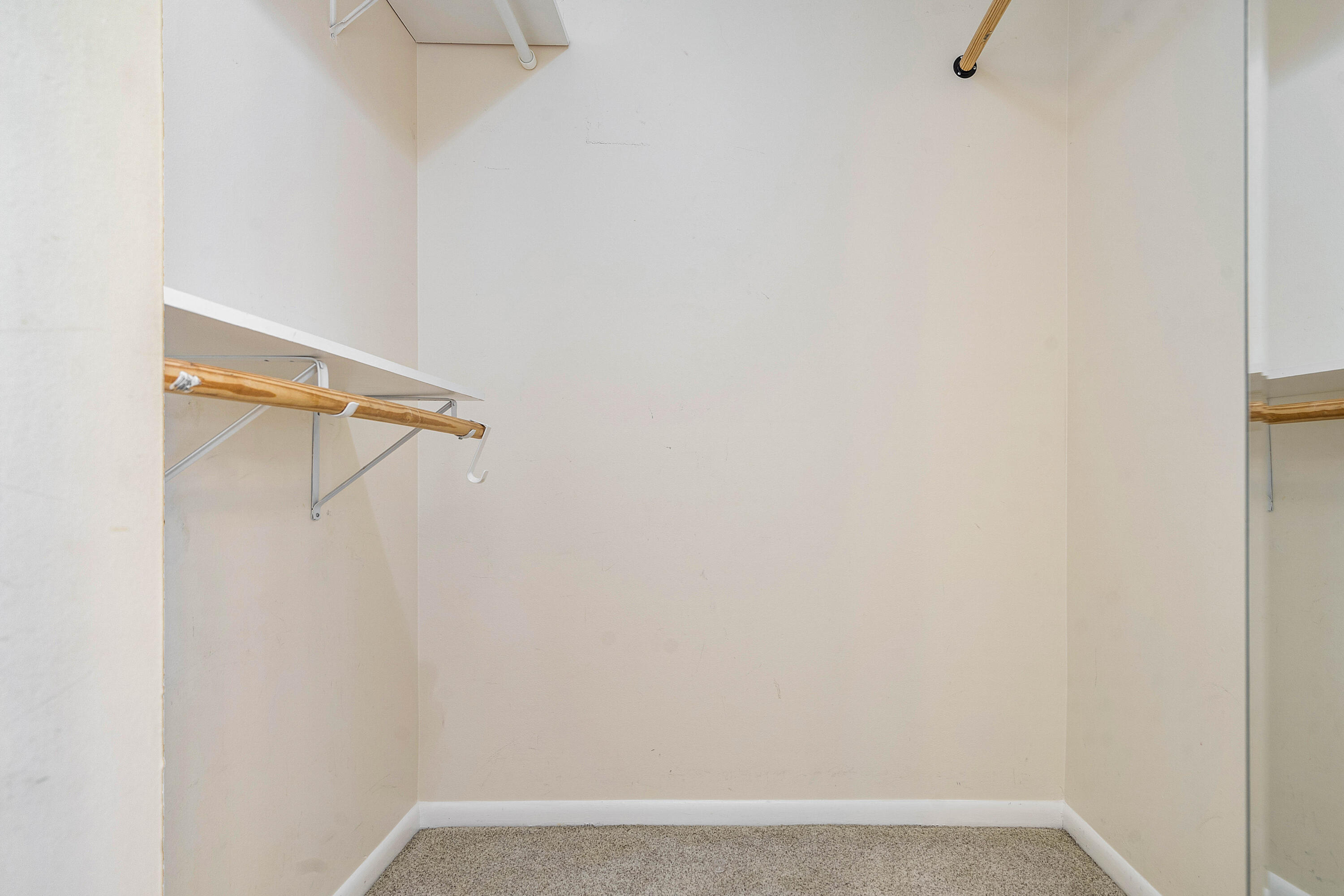 521 Shady Pine Way C2