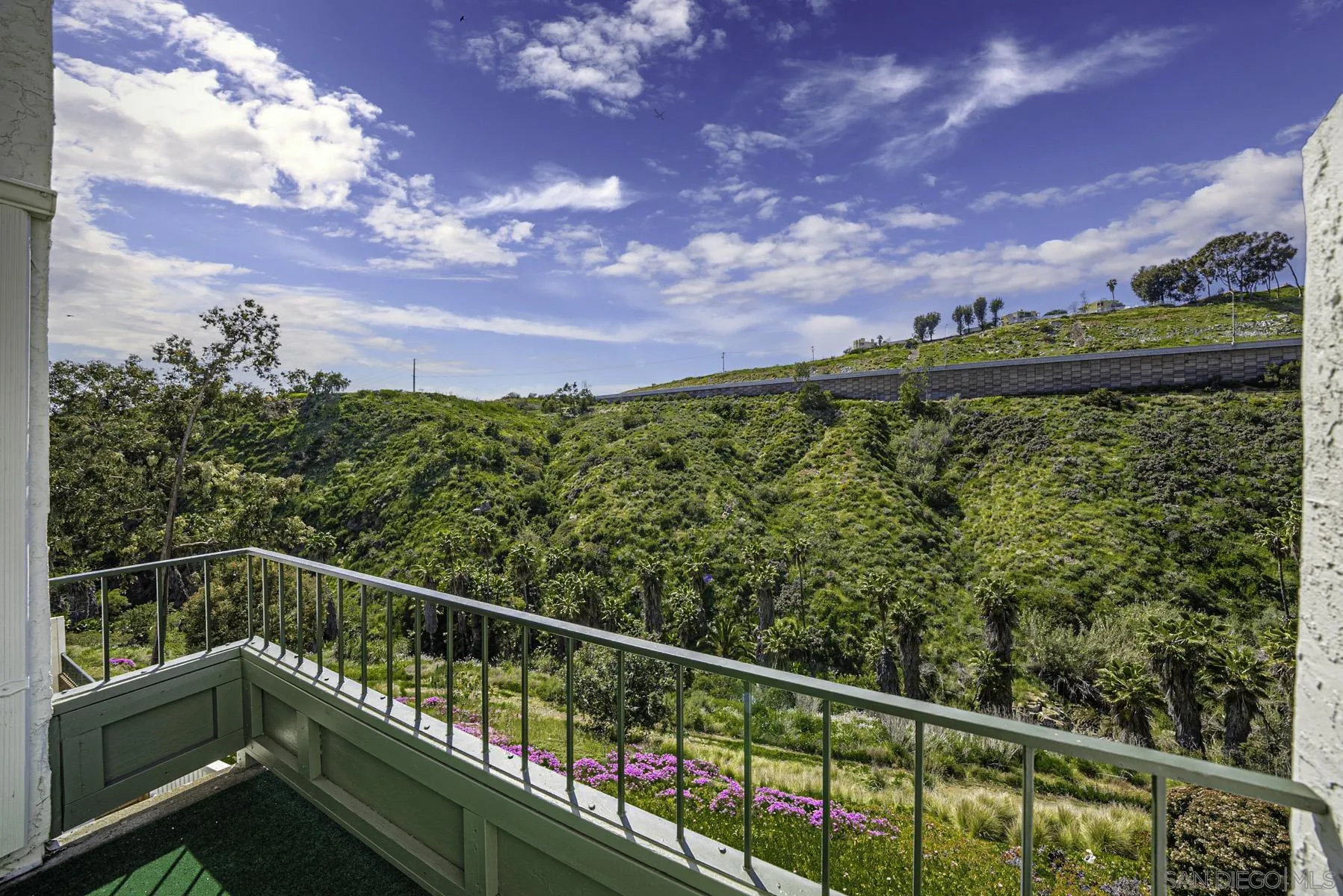 8711 Spring Canyon Dr