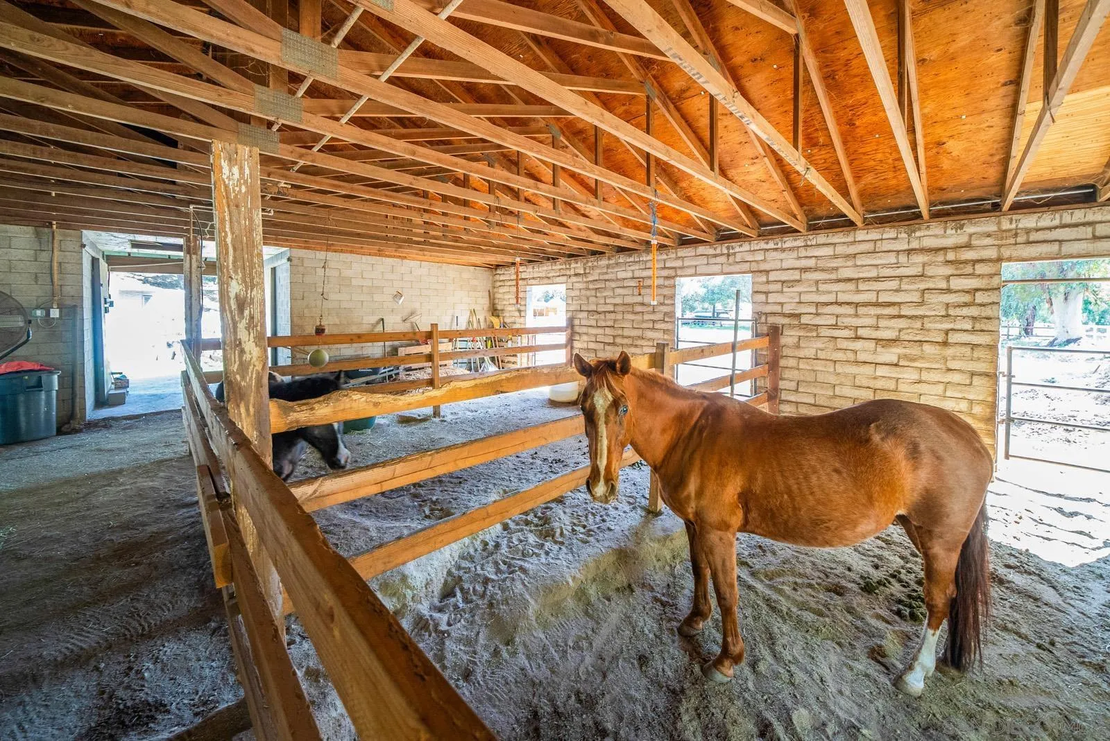 5816 Stallion Oaks Rd