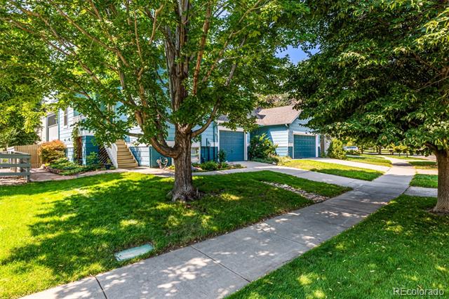 3851 Oakwood Drive