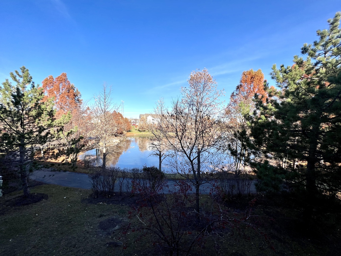 300 LUNT Avenue Unit: 300