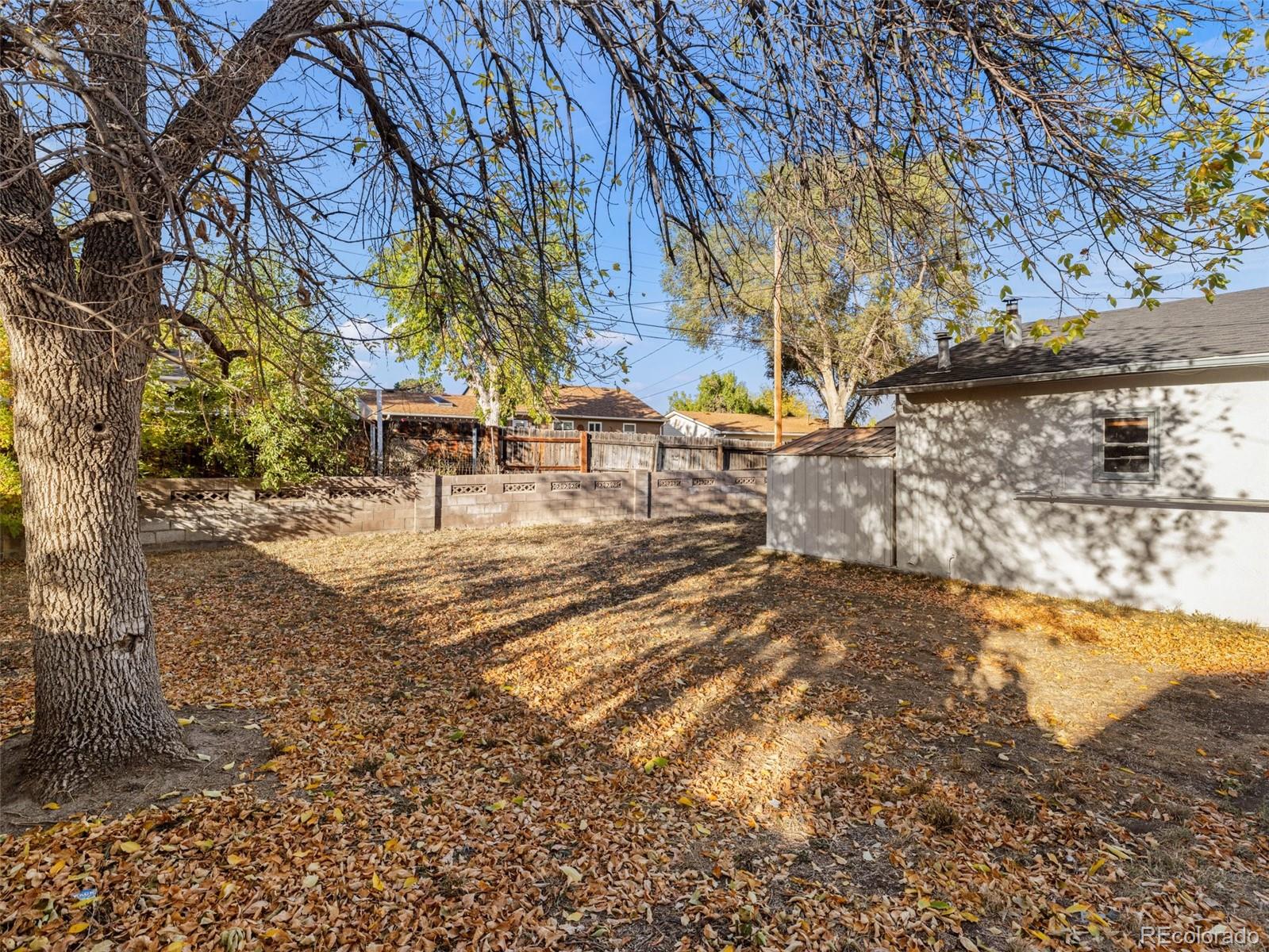 63 Dick Trefz Street