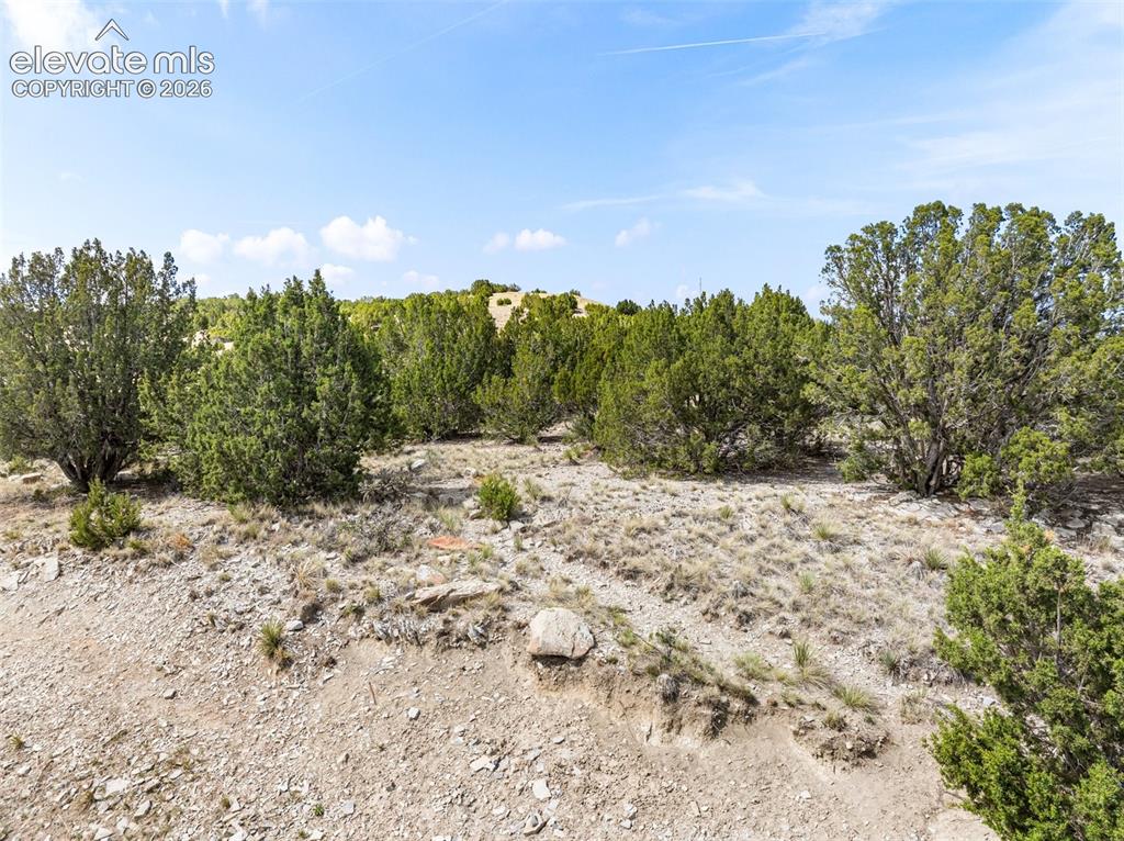 6160 Waterbarrel Road