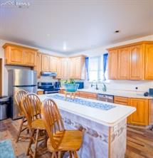 1394 E Kiva Drive
