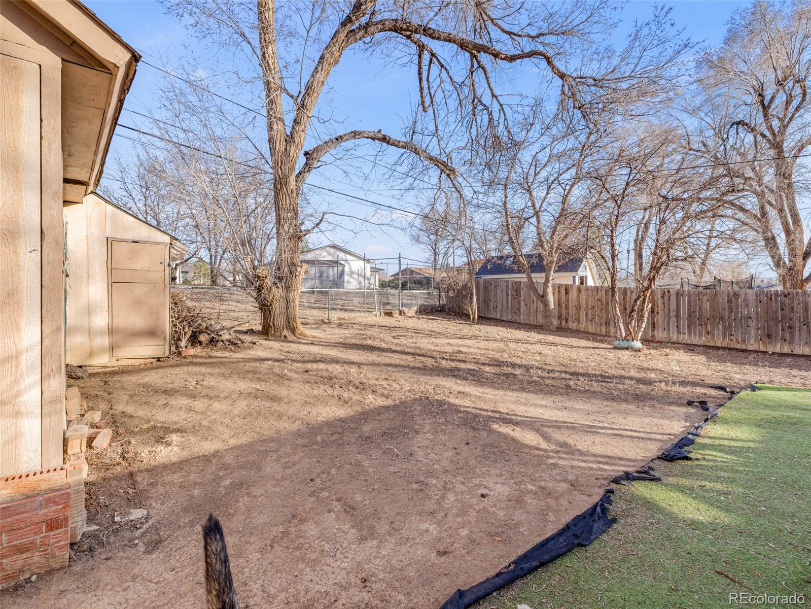 Backyard with mature leafless trees, wooden fencing, a shed, and a strip of lawn.