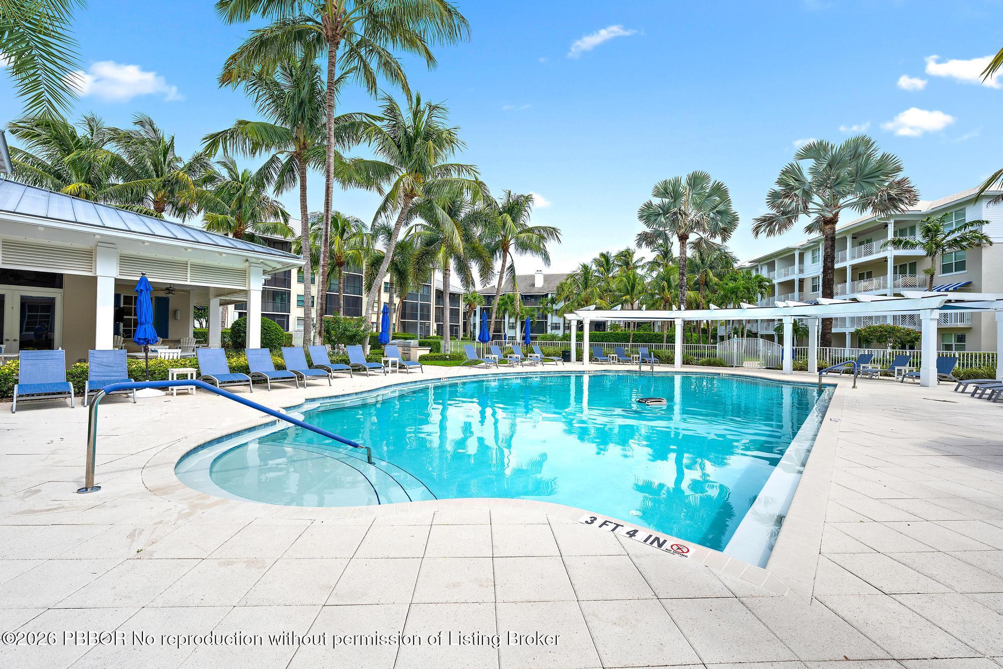 Outdoor pool with blue lounge chairs, palm trees, and a white pergola.