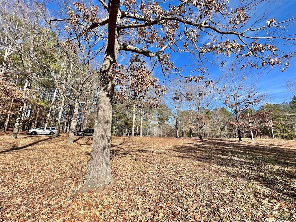 2565 Camp Mitchell Road