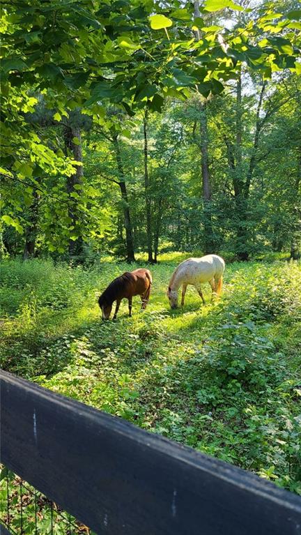 12490 Pindell Circle