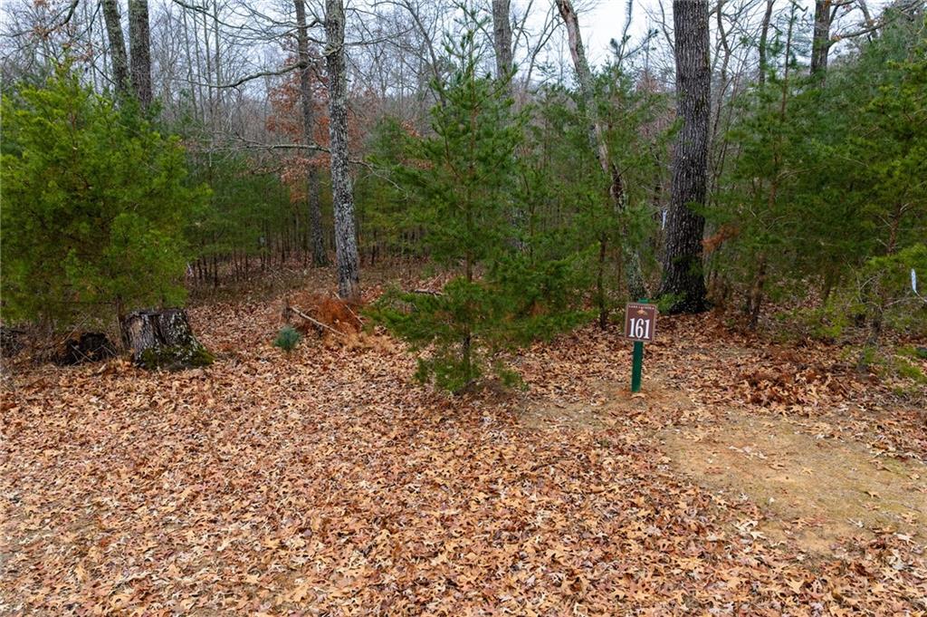161 Headwaters Court