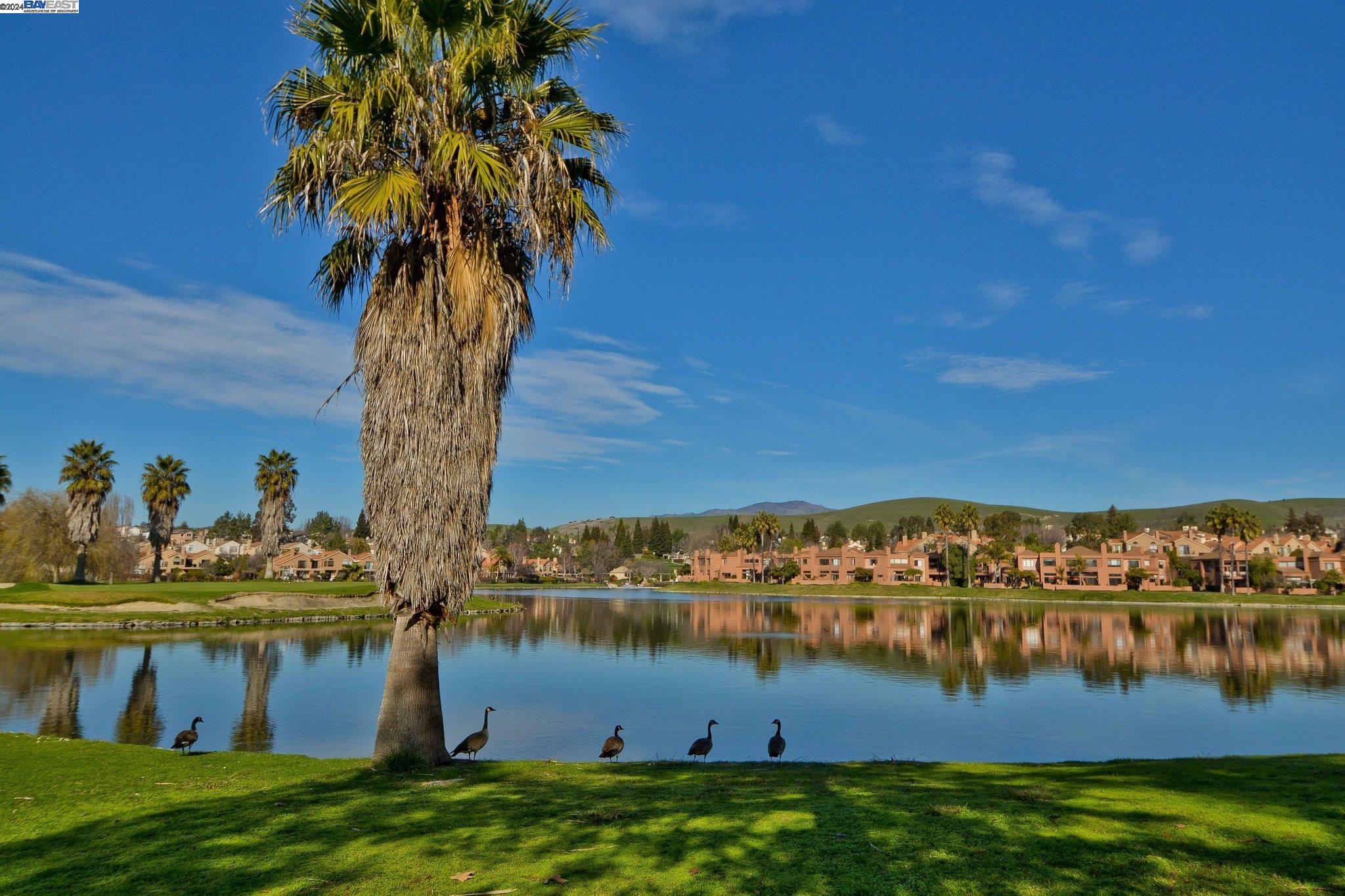 6220 Lakeview Cir