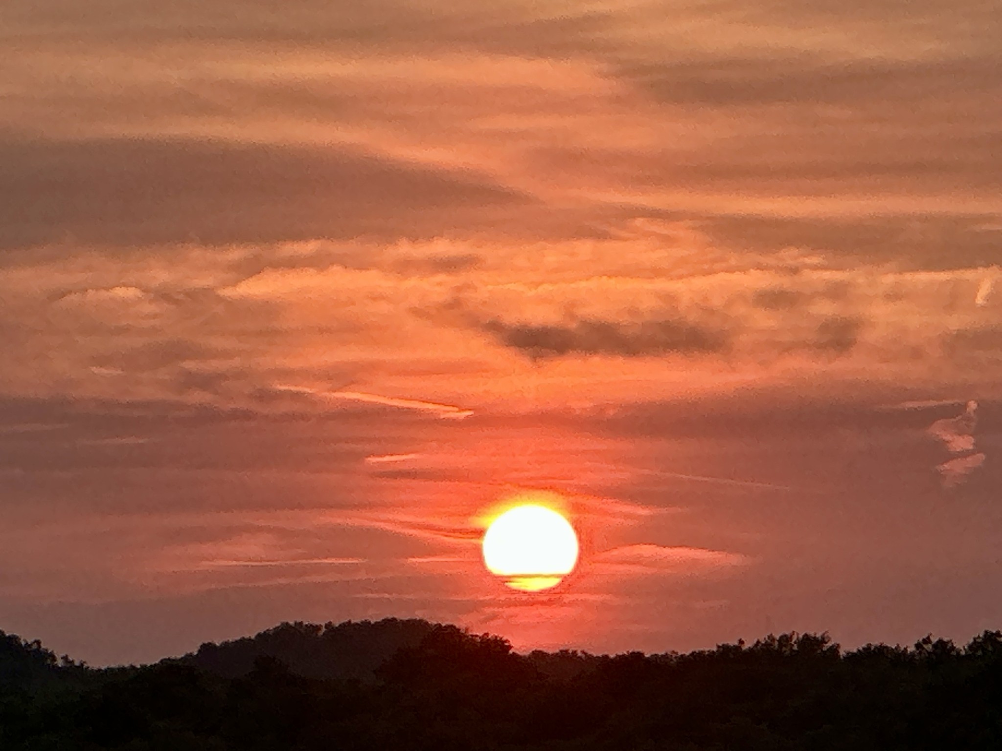 Bright orange sunset above a tree-covered ridge, with layered clouds glowing red and gold.