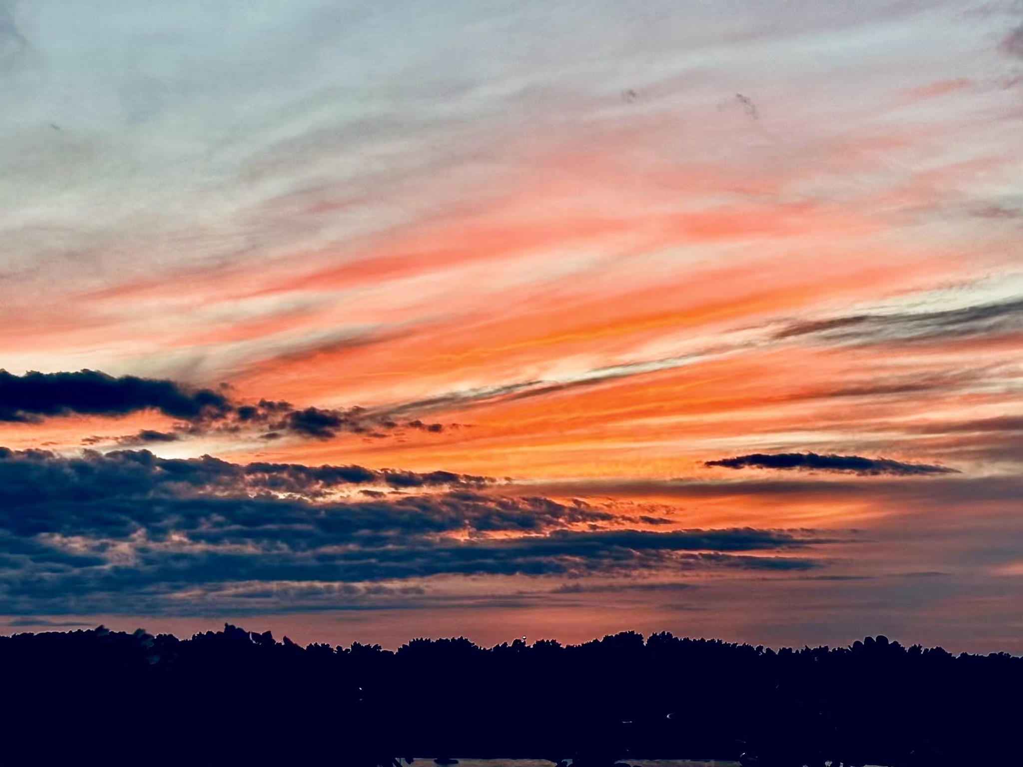 Colorful sunset clouds stretch above a dark, tree-lined horizon.