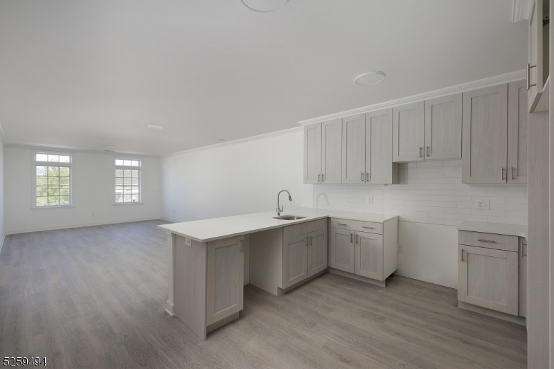 500 Central Ave, Apt 310 310