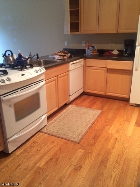 525 Central Ave, Apt 207 207