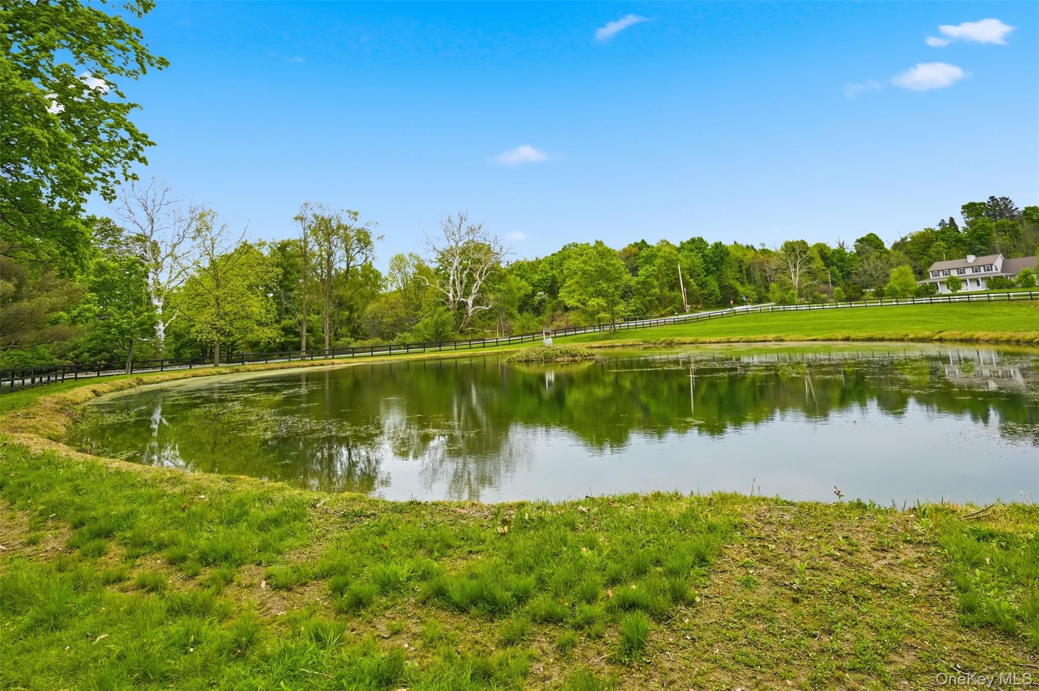 308 Hollow Road