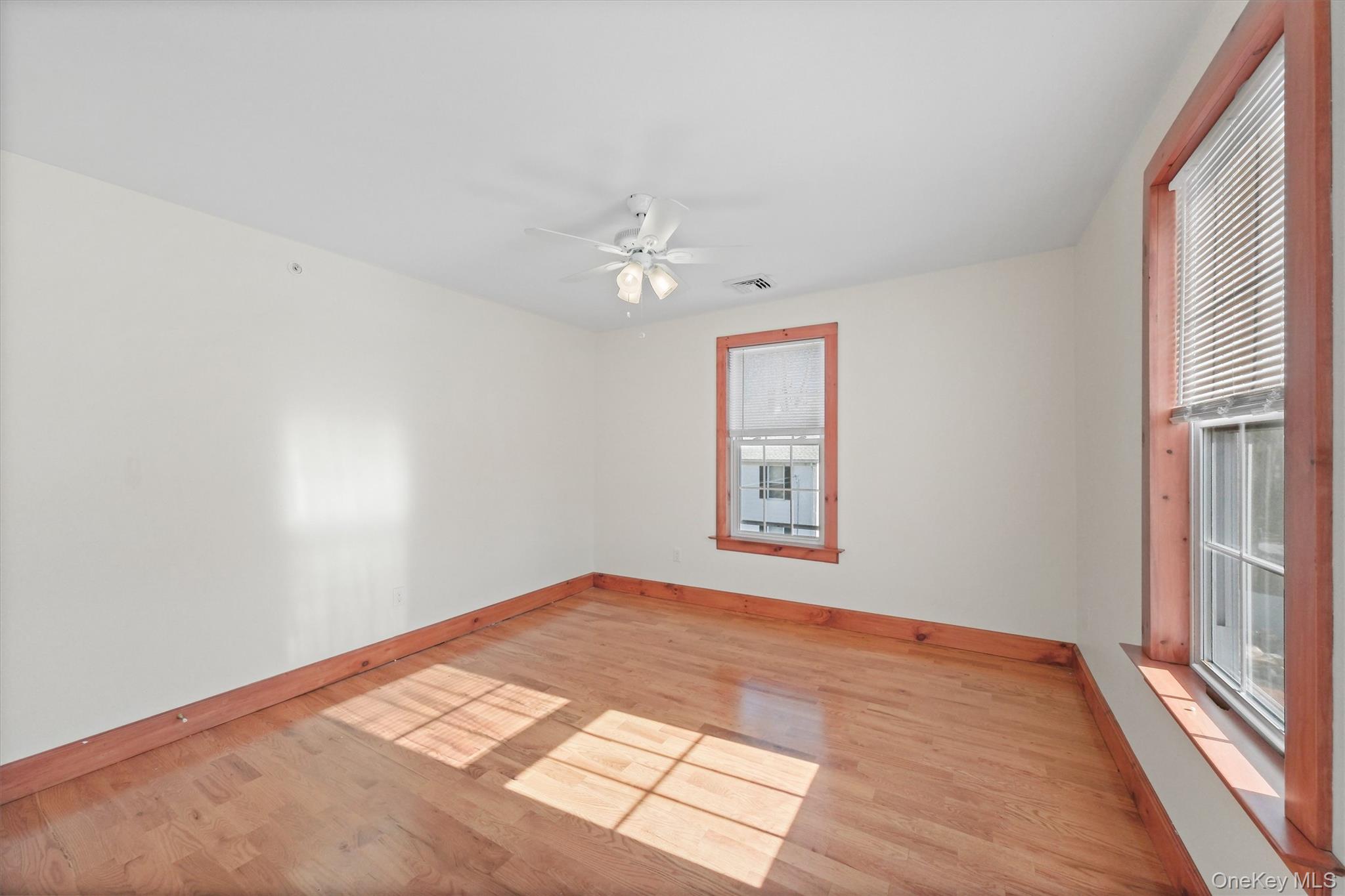 75 Albany Street Unit: 3