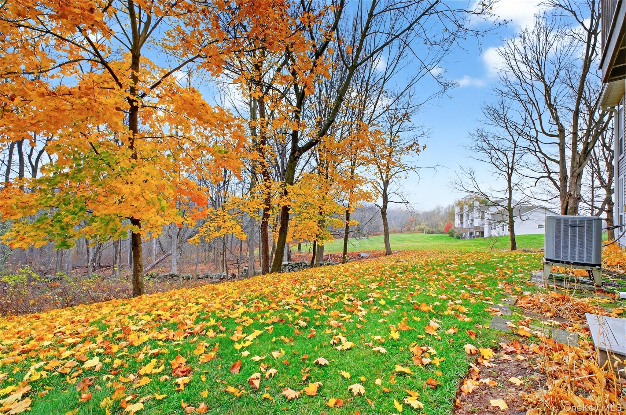 201 Woods Brooke Drive