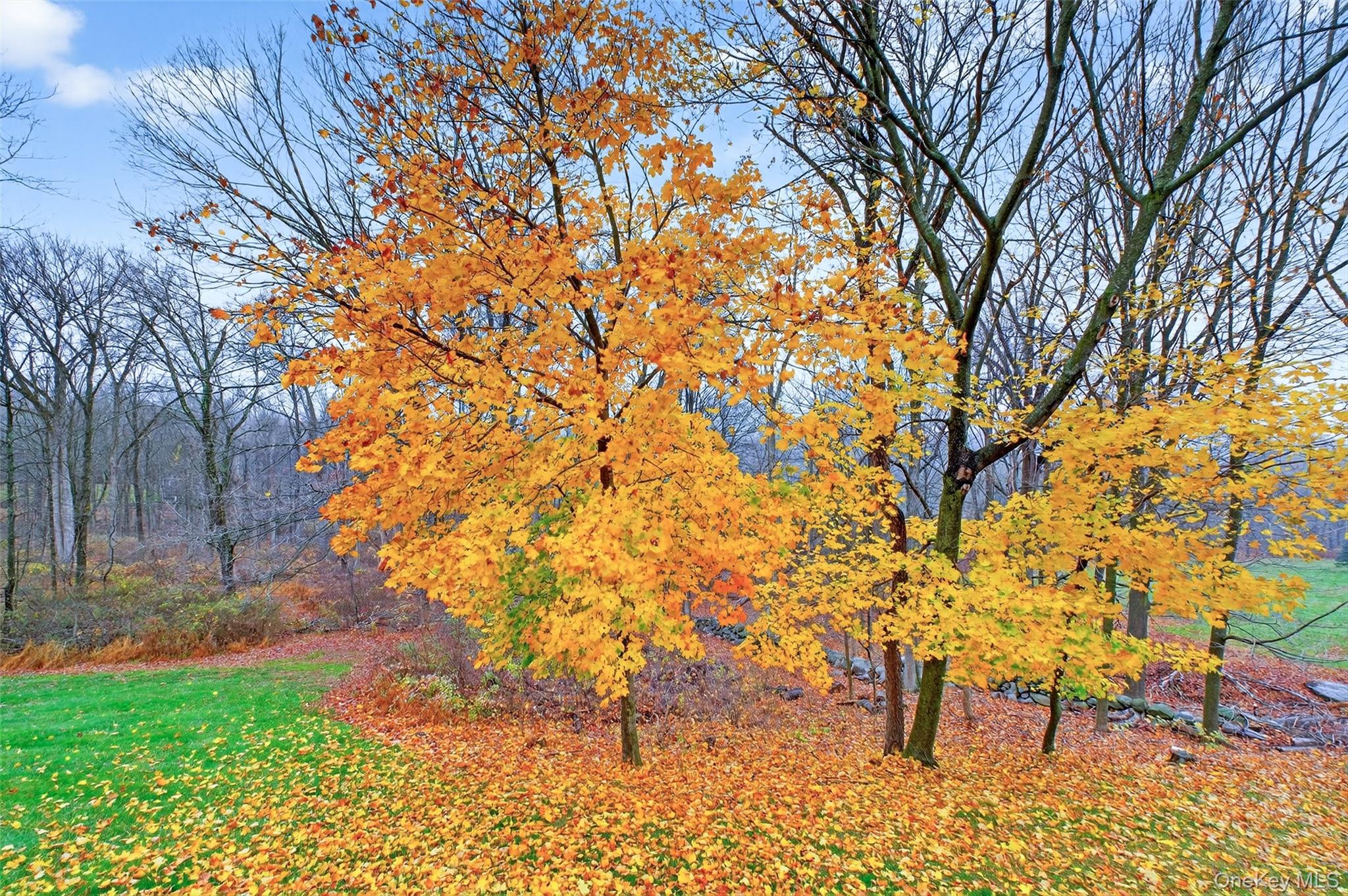 201 Woods Brooke Drive