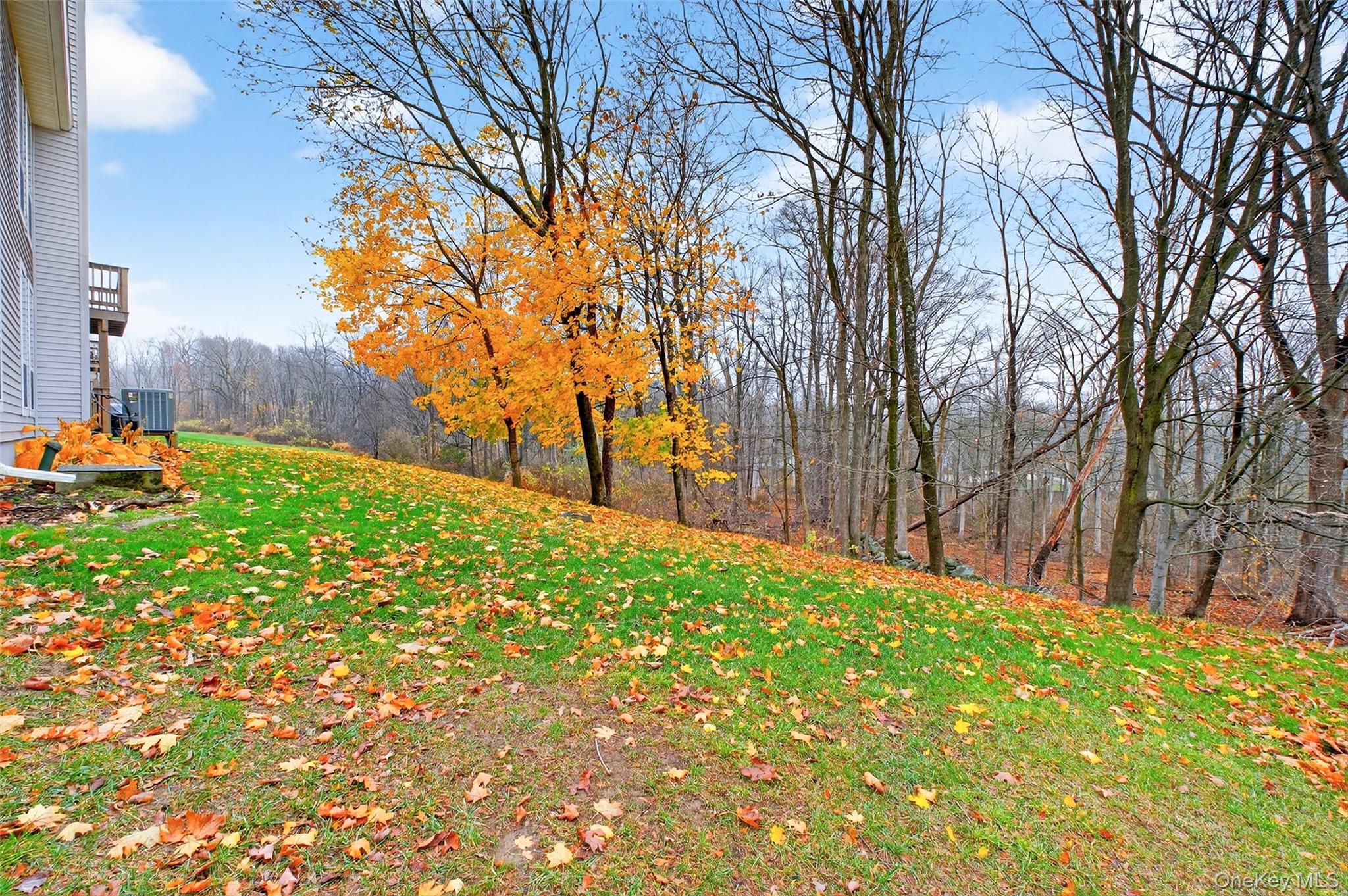 201 Woods Brooke Drive