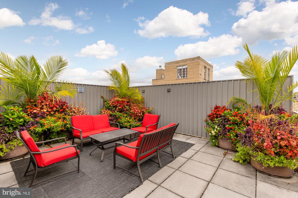 1711 Massachusetts Ave NW #216