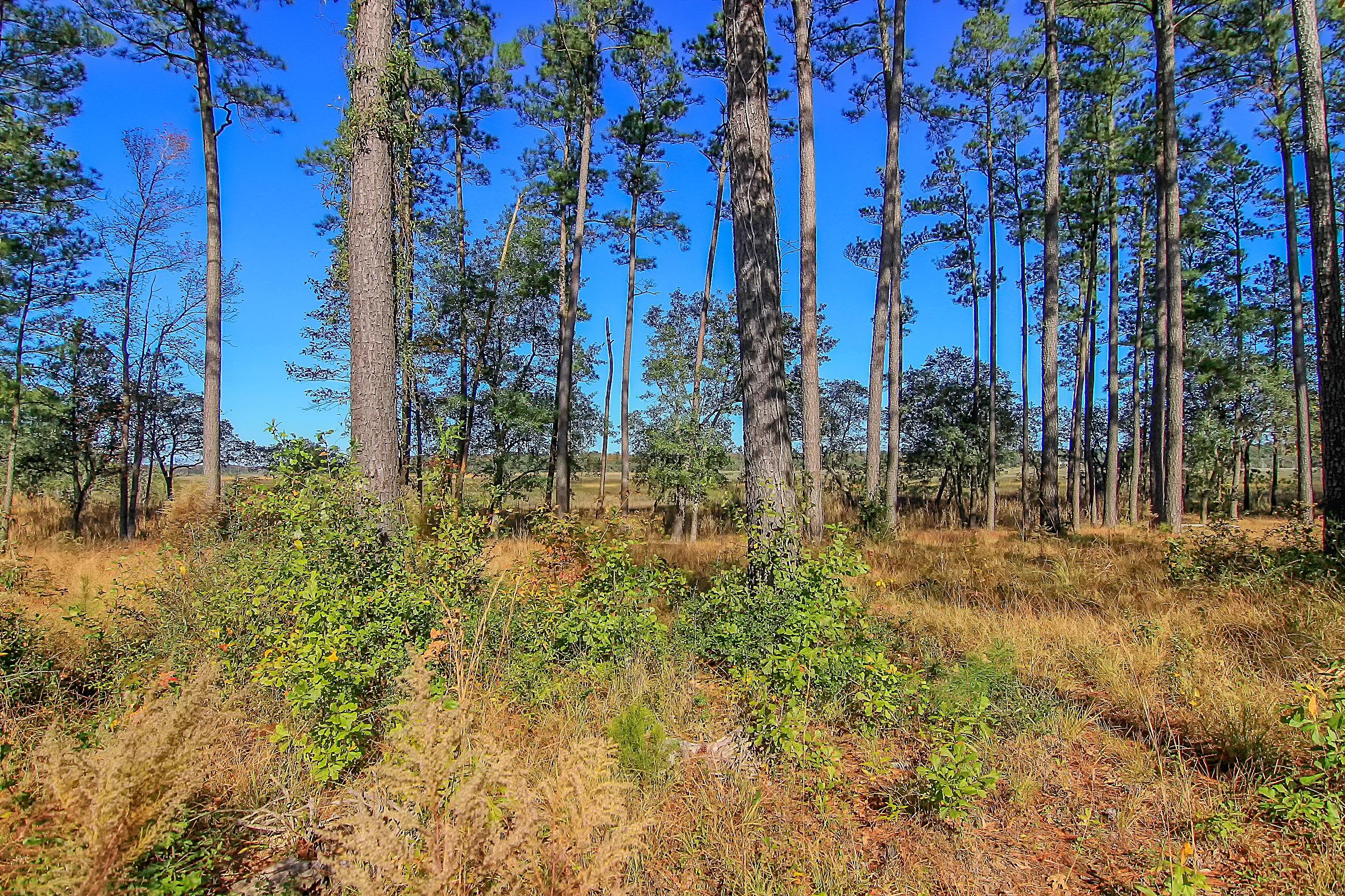4000 Berberis Lane