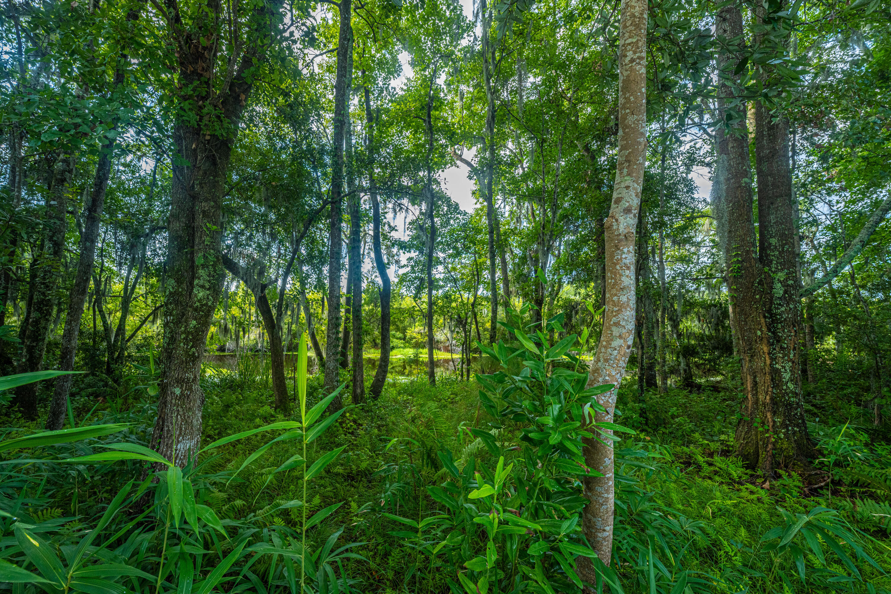 129 Hanahan Plantation Circle