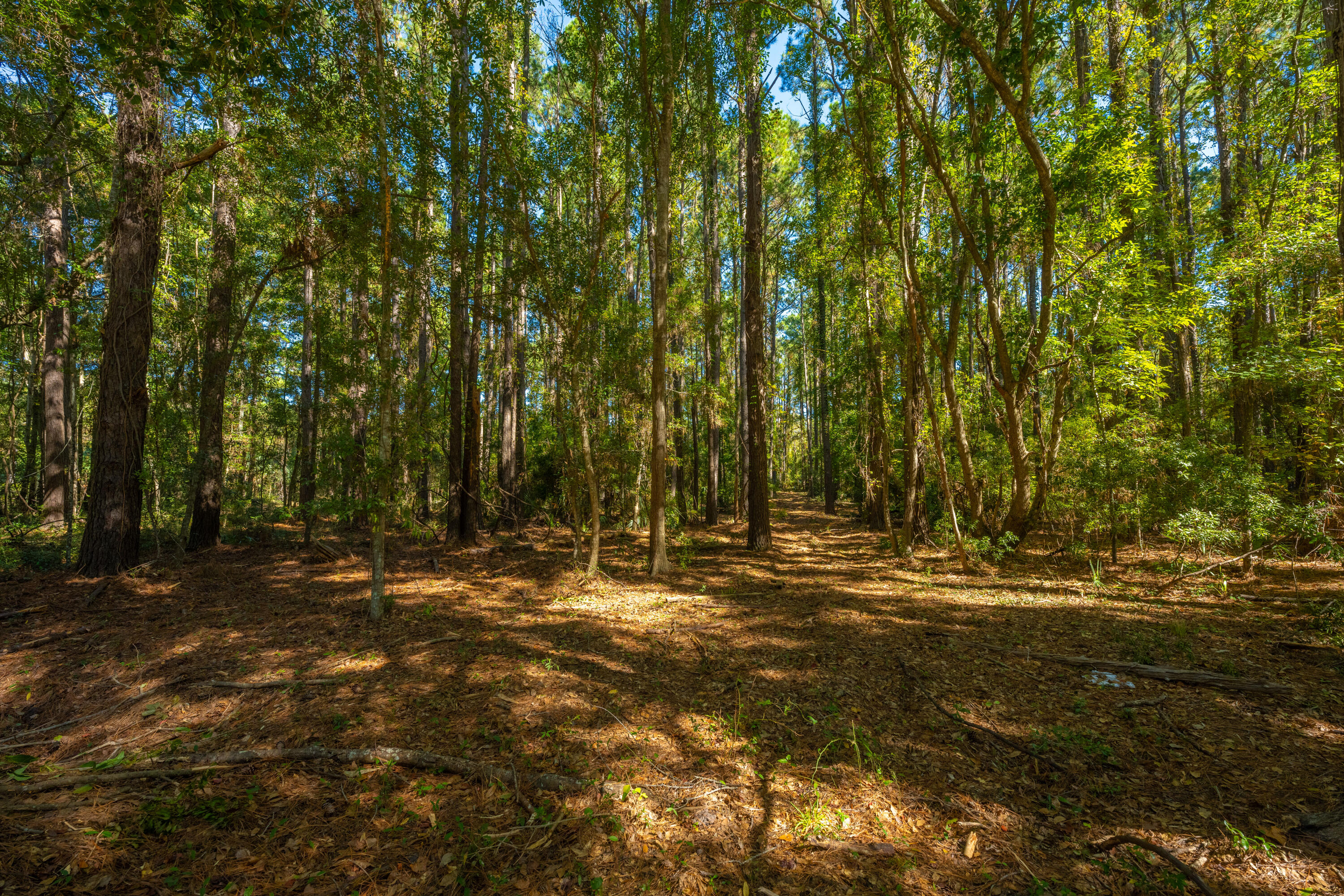 6131 Rudder Lane