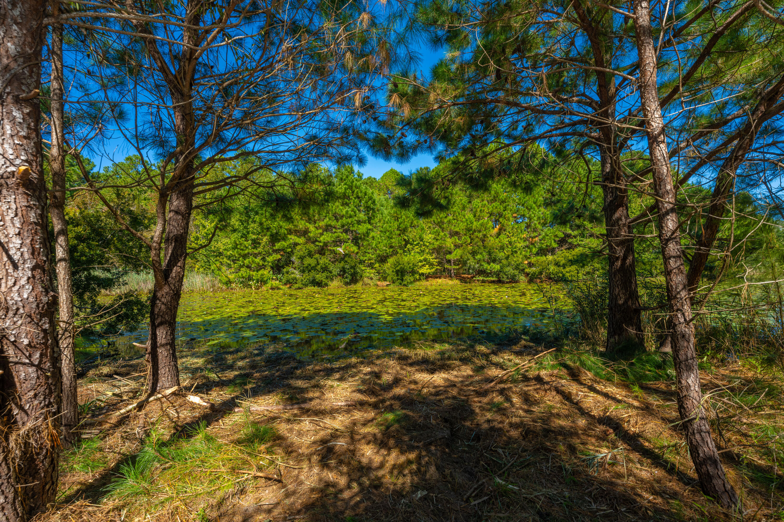 6131 Rudder Lane