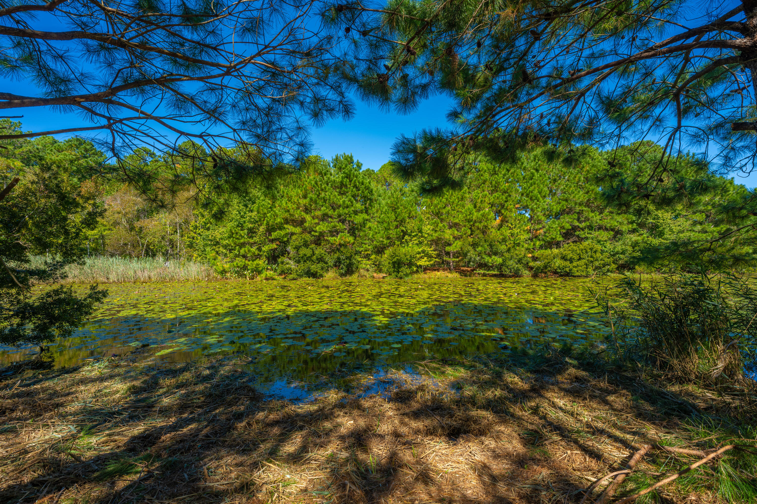 6131 Rudder Lane