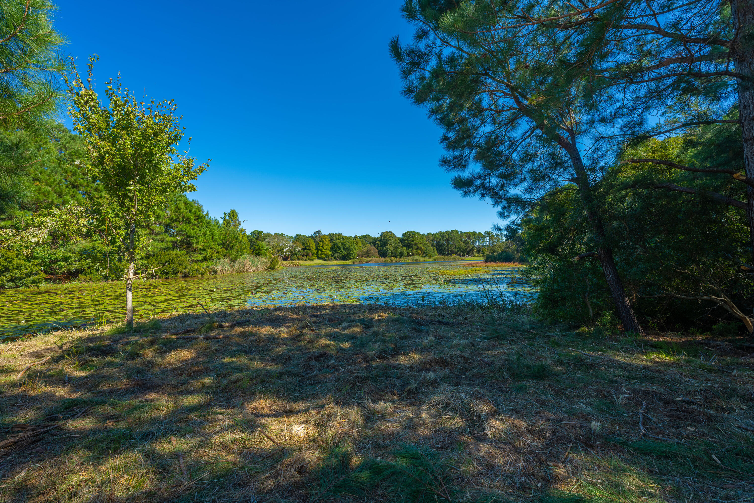 6131 Rudder Lane