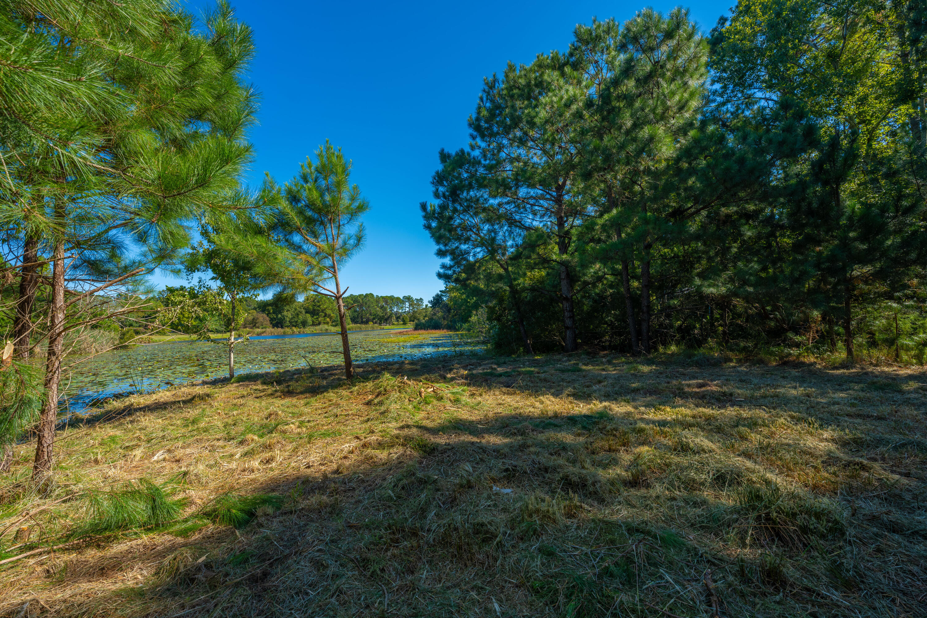 6131 Rudder Lane