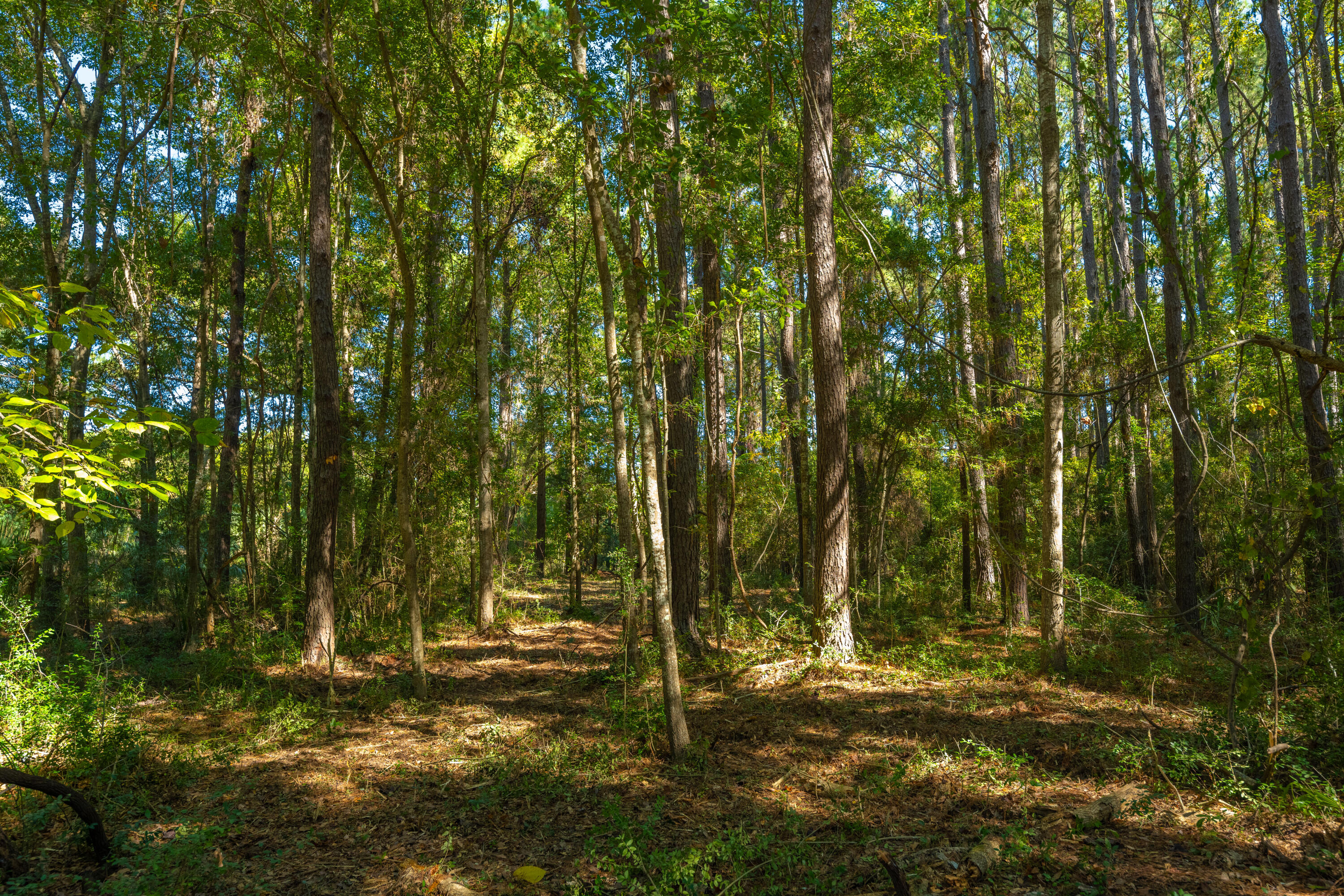 6131 Rudder Lane