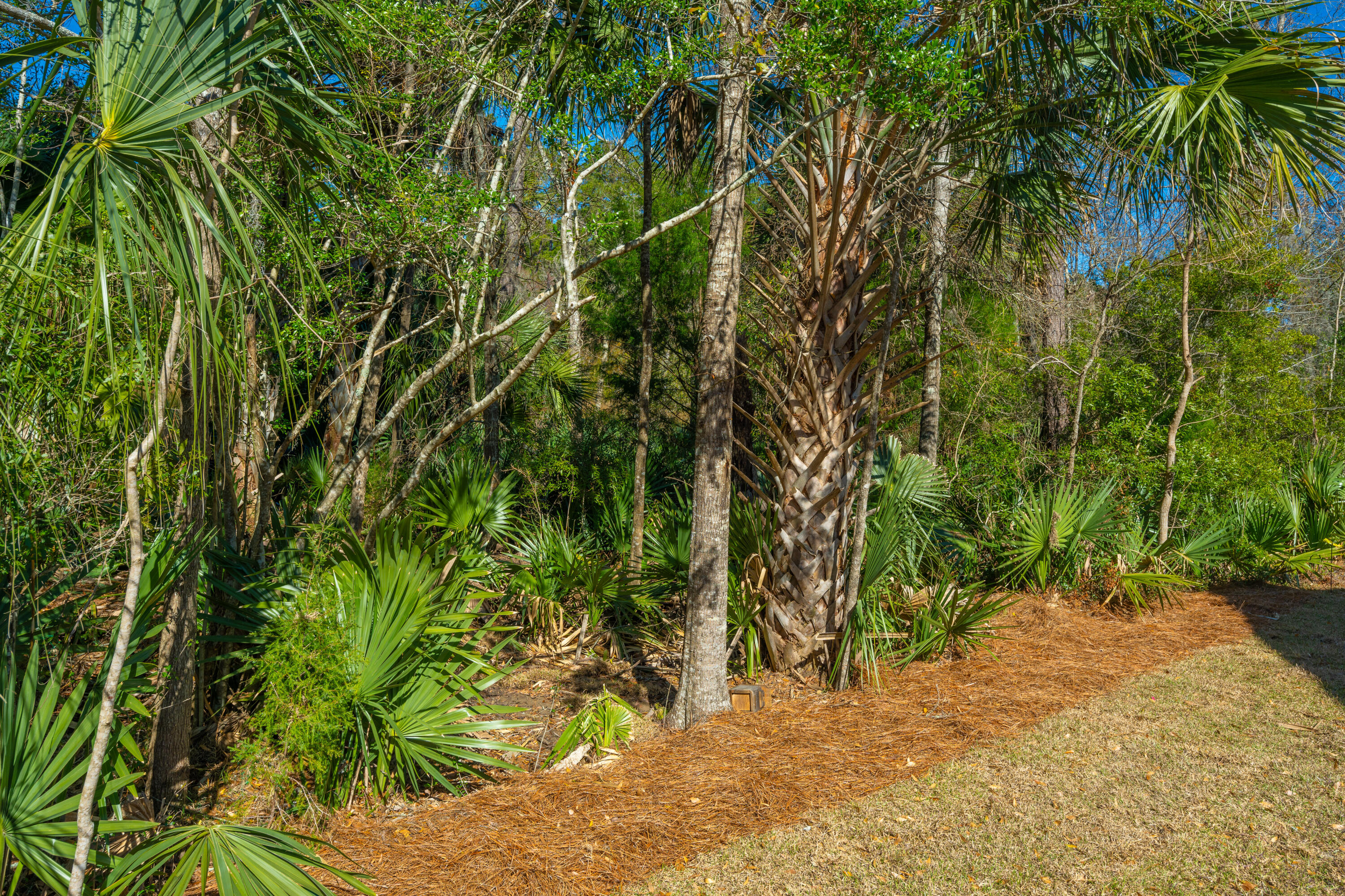 3062 Rice Field Lane
