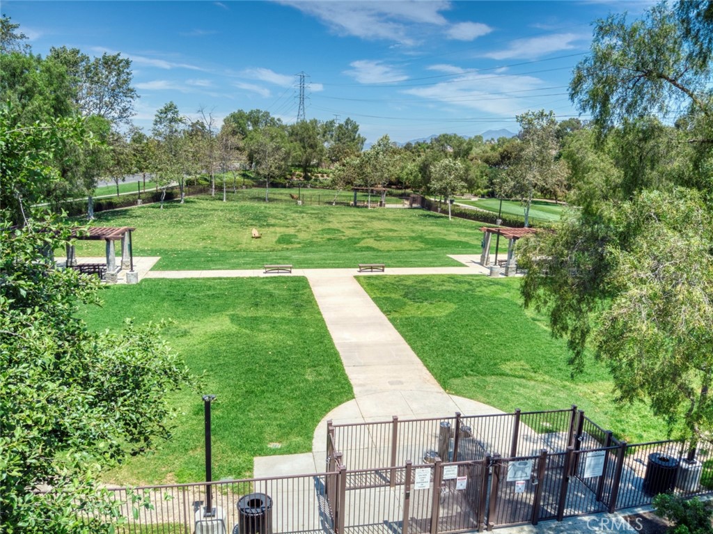 20 Snapdragon Street