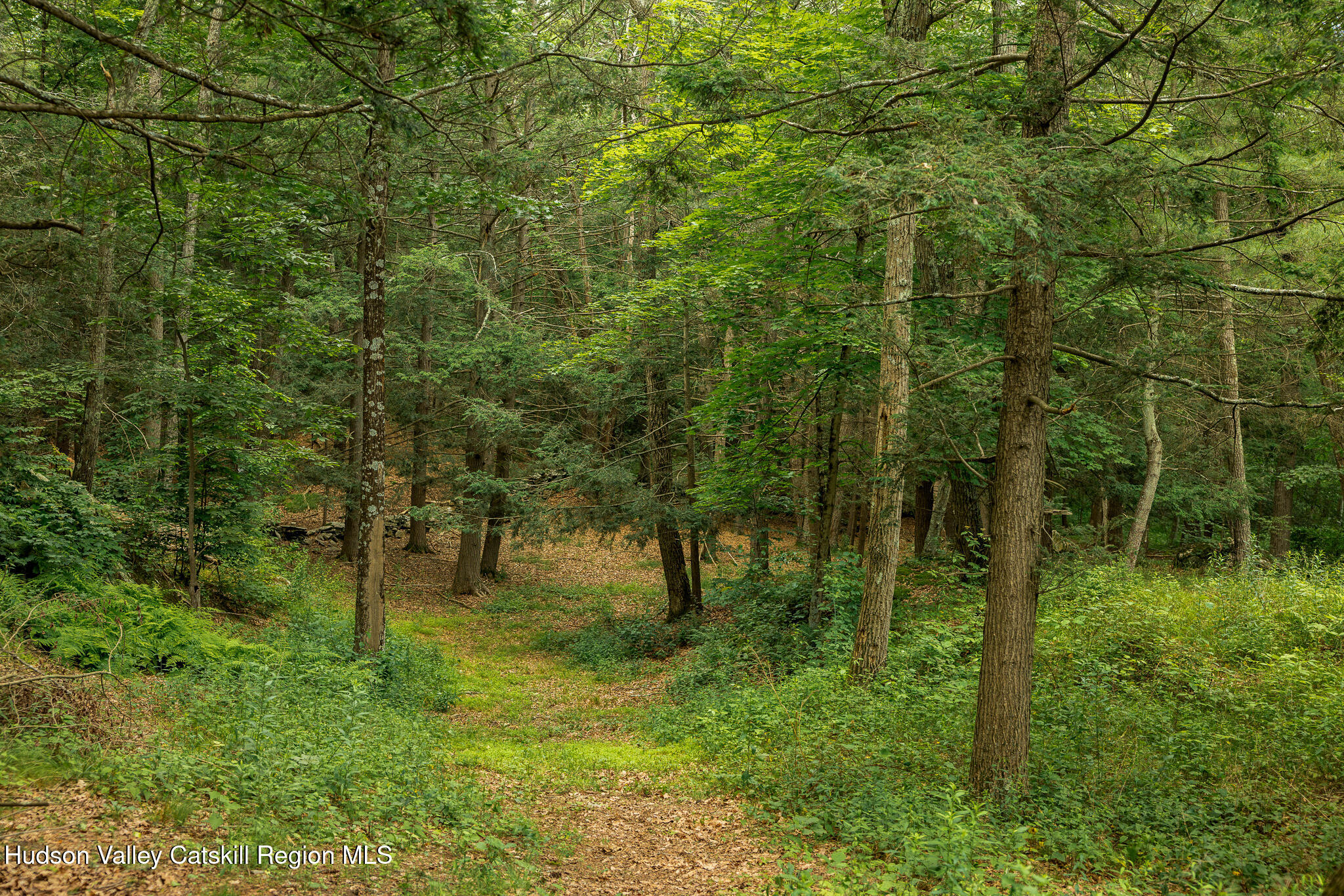 10 High Wood Road, Staatsburg