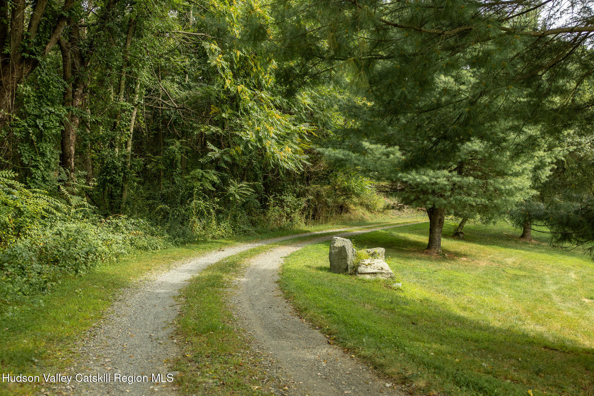 46 Webster Coon Road