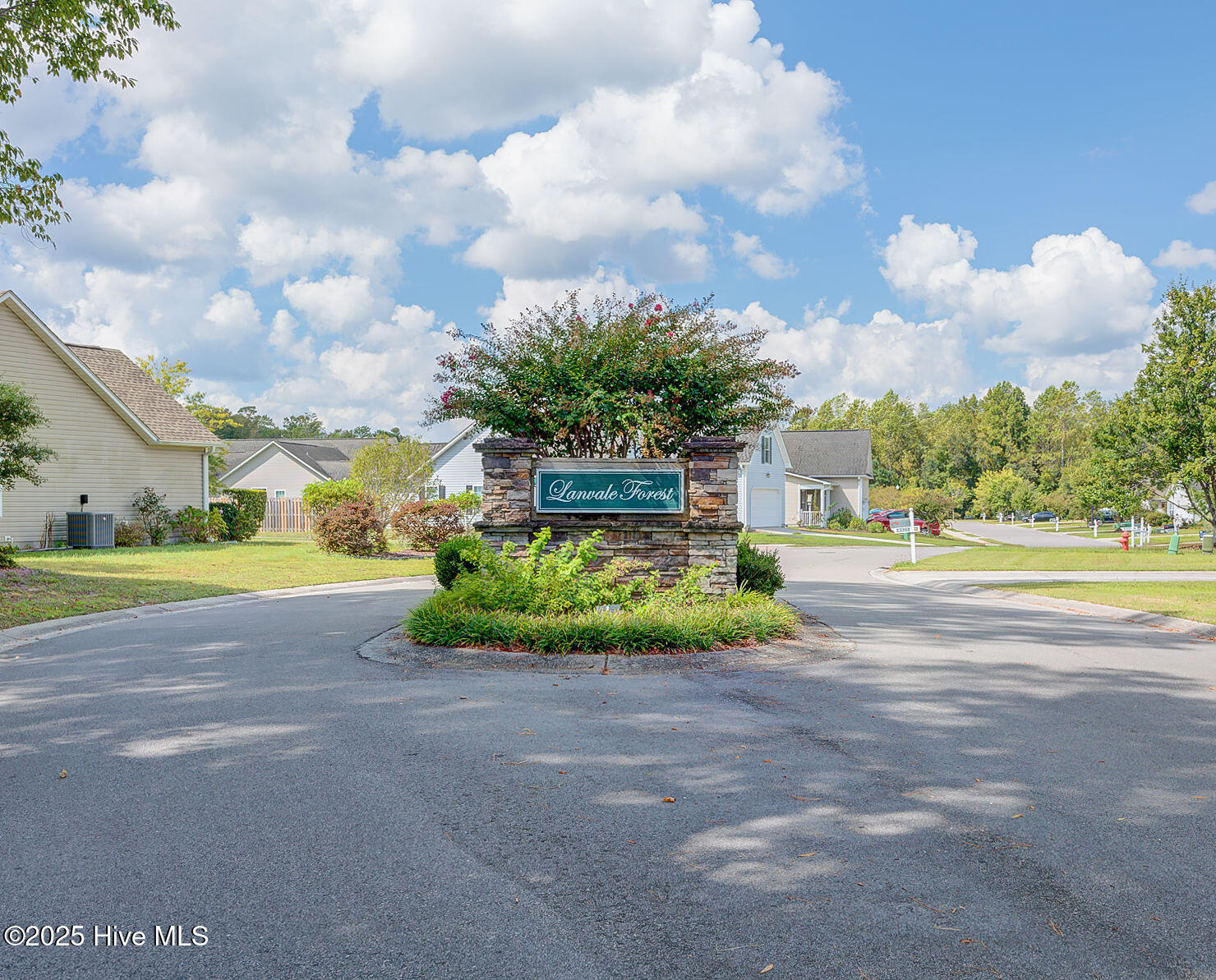 4517 Combs Forest Court, Leland