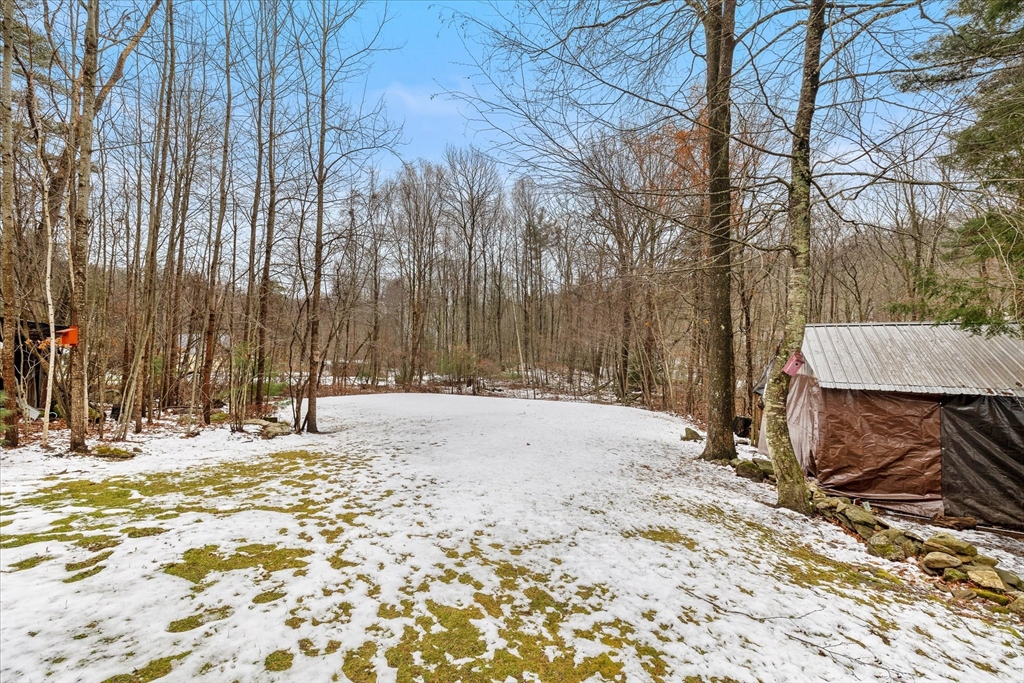 Snow-covered yard bordered by leafless woods, with a tarp-sided shed at the right.