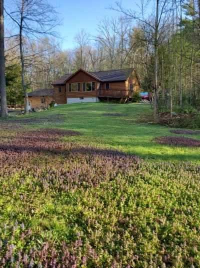 Wood-sided home with roof solar panels behind a grassy lawn and purple flowers.