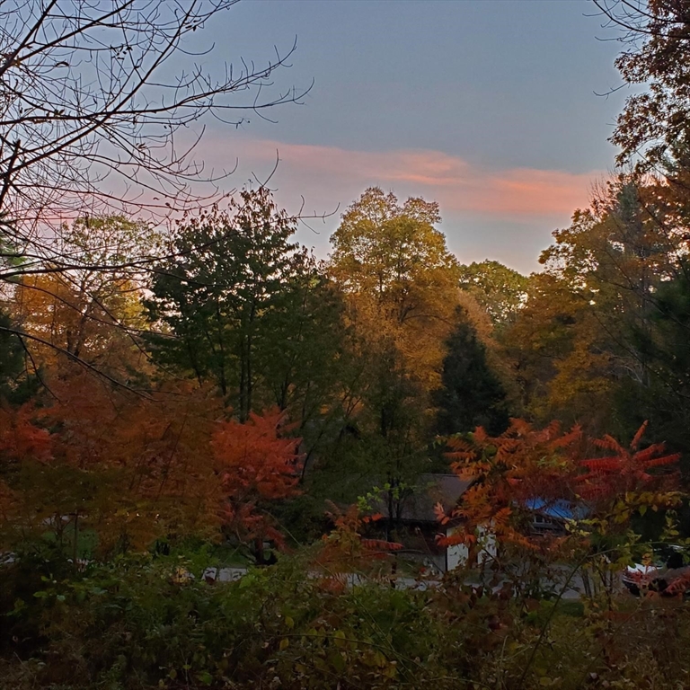 Autumn trees partly conceal a home beneath a pink sunset sky.