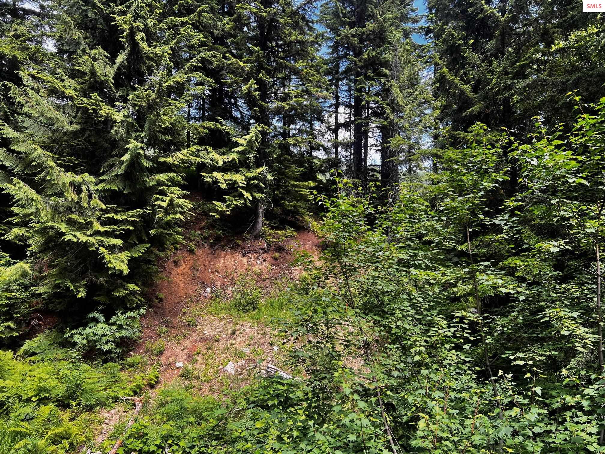 Block 8 Lot 19A Telemark Road, Sandpoint