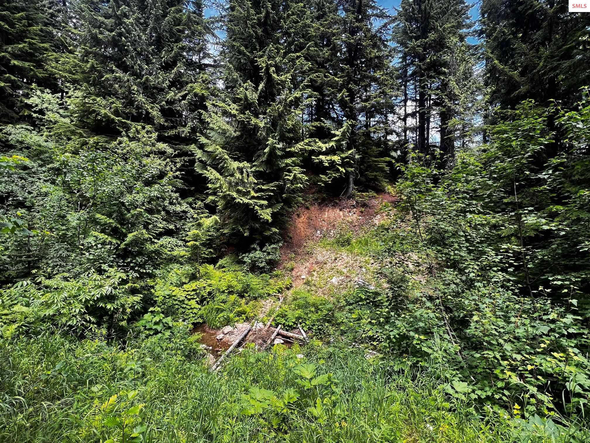 Block 8 Lot 19A Telemark Road, Sandpoint