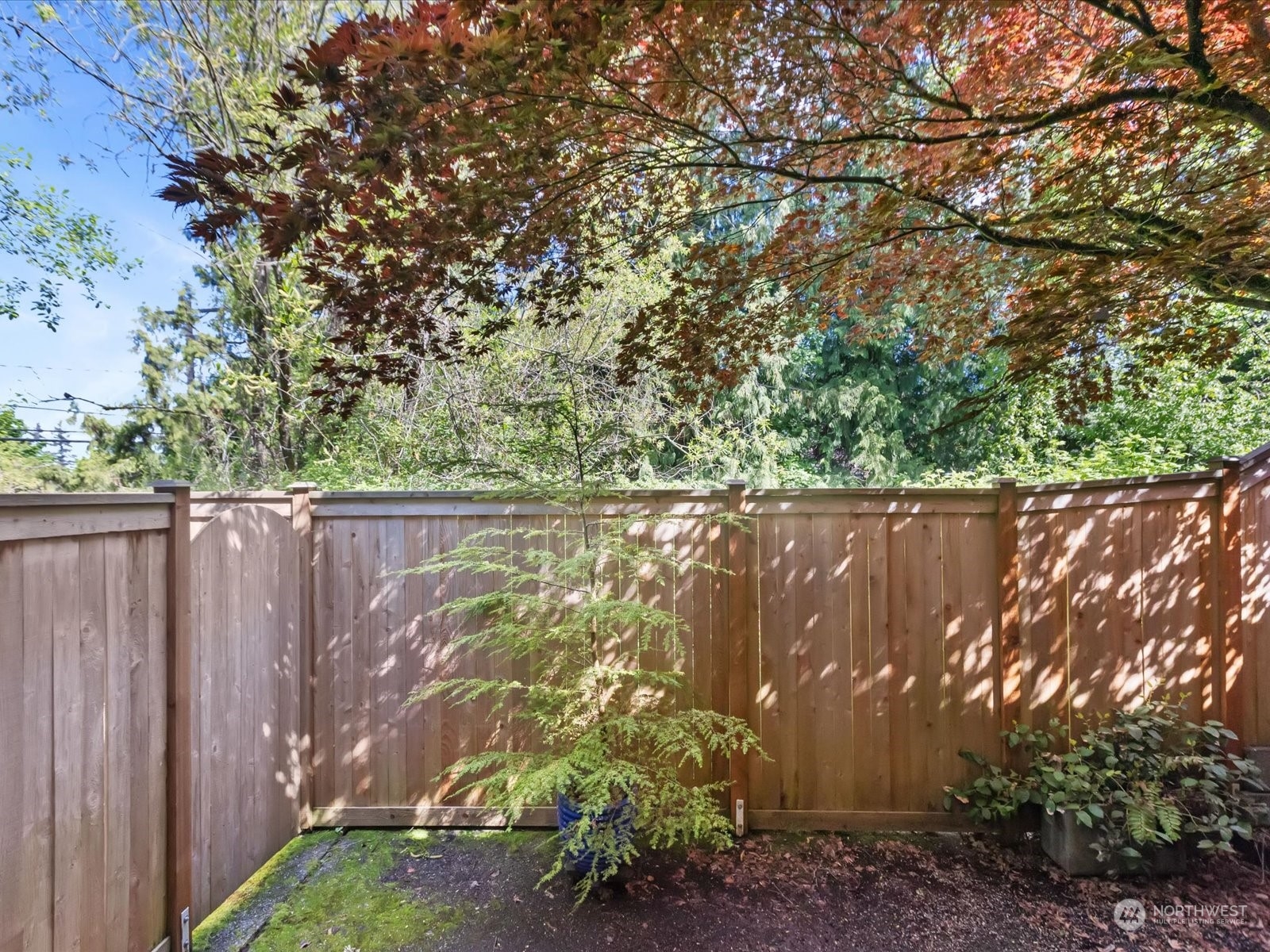 15633 44th Avenue W Unit: A2