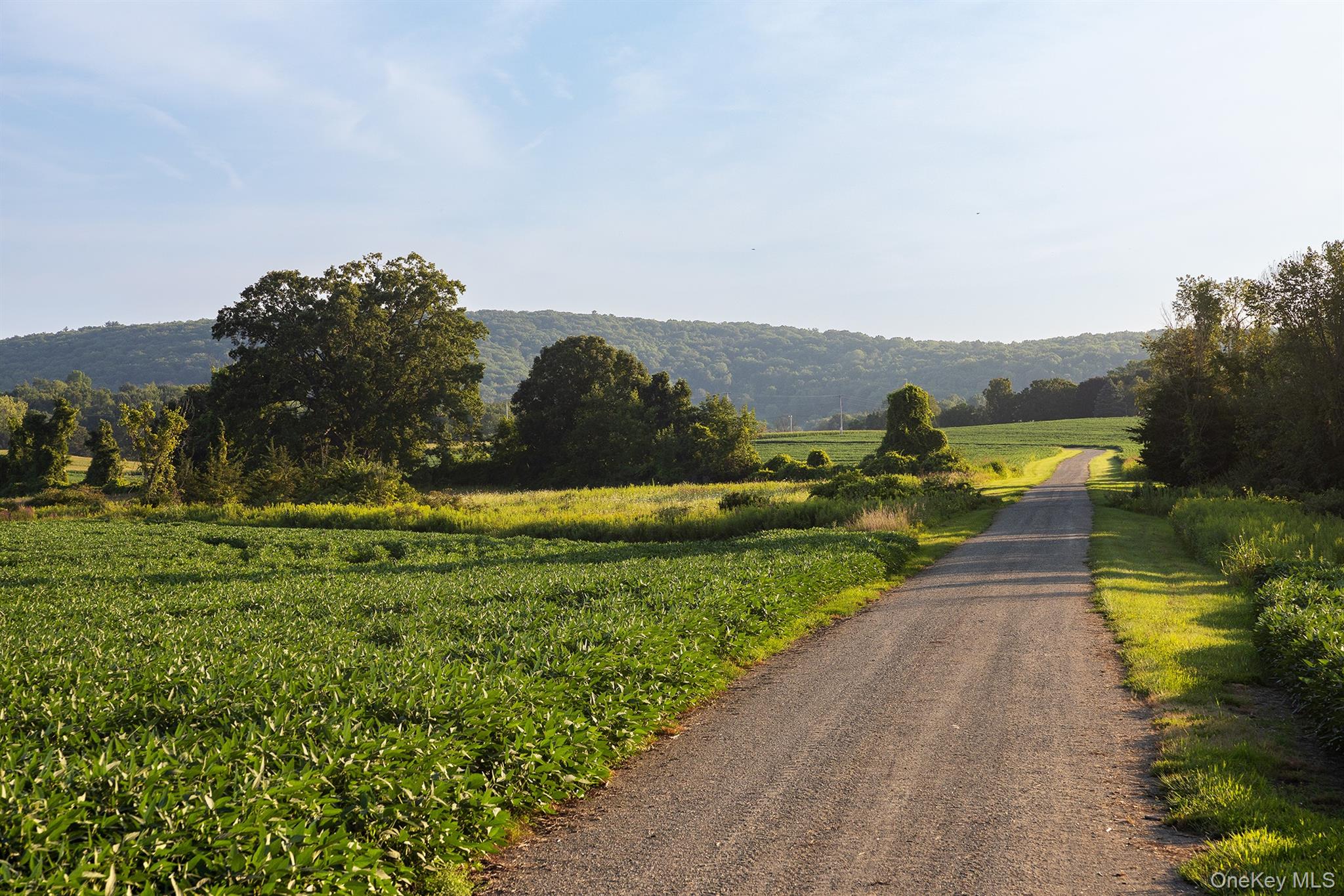 281 County Route 3