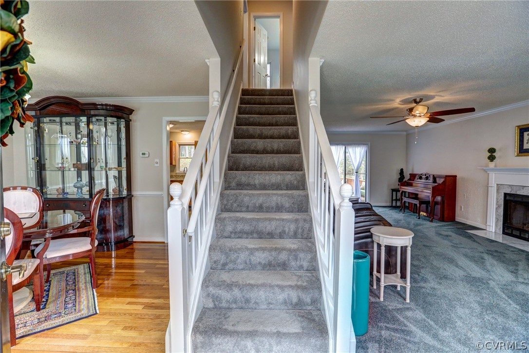 10424 White Rabbit Rd