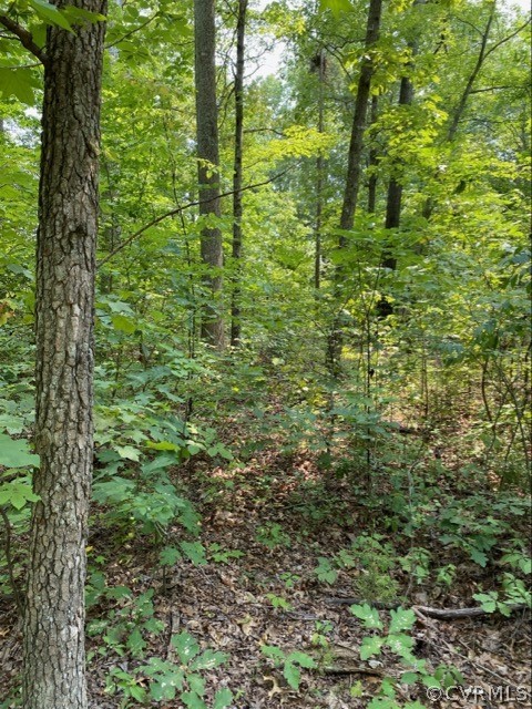 Lot 5A Holland Creek Rd